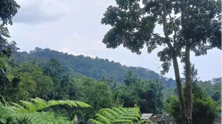 Lembah Air Voda, Wisata Alam Nan Sejuk