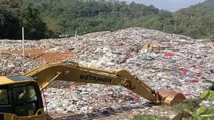 Tak Hanya Angkut, DLH Pringsewu Gencarkan Edukasi dan Digitalisasi Retribusi