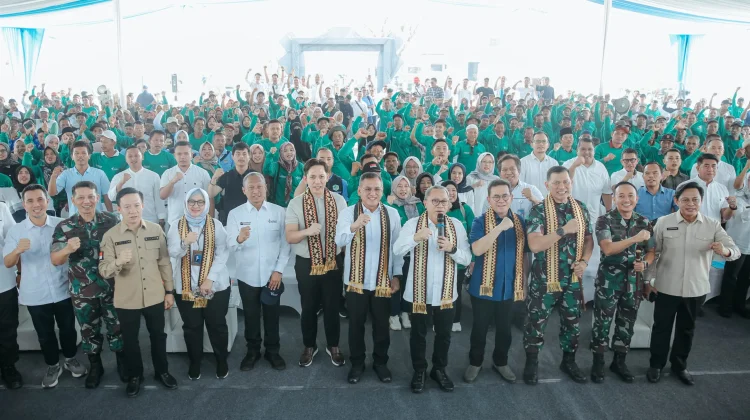 Menko Zulhas: Sekarang Pupuk Bersubsidi Datang Tepat Waktu