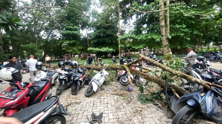 Unila Bantu Perbaikan Kendaraan Mahasiswa Terdampak Pohon Tumbang