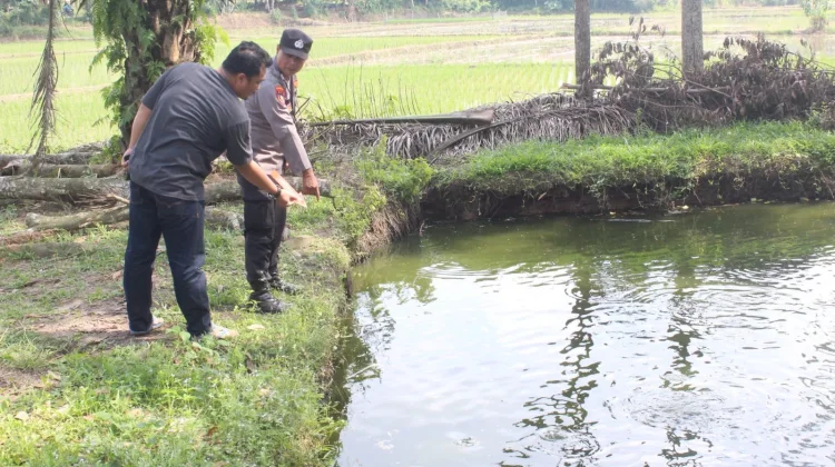 Diduga Terpeleset, Bocah di Pringsewu Tewas Tenggelam di Kolam Ikan