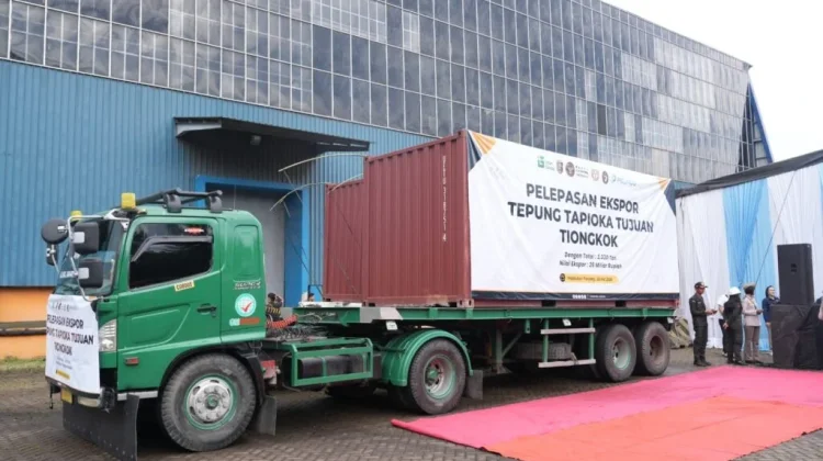 Unila Kembangkan Teknologi Mesin Panen Singkong Dorong Efisiensi Petani