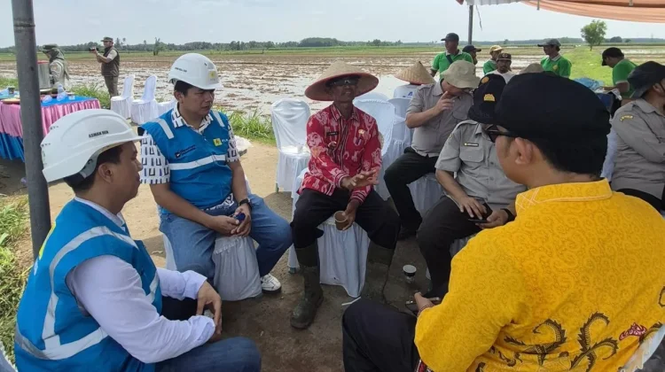 PLN Kawal Pertanian Modern Demi Swasembada Pangan