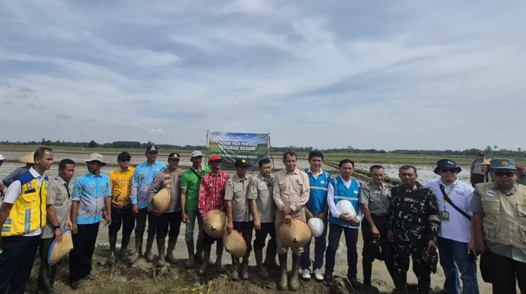 Listrik Andal Dukung Panen Modern Petani Lampung