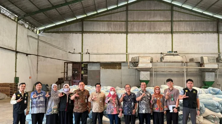 Lampung Dorong Hilirisasi Indigofera untuk Kemandirian Pakan Ternak