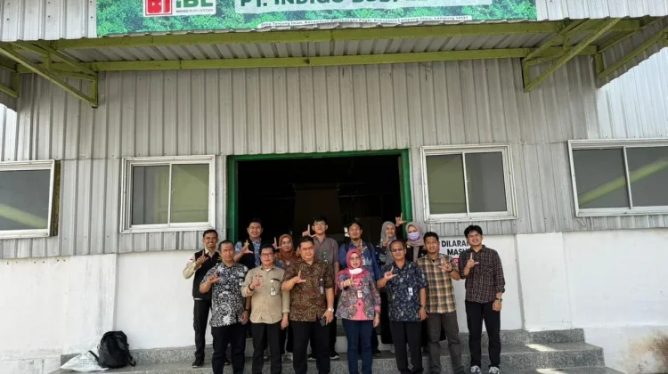 Indigofera Berpotensi Jadi Pengganti Bungkil Kedelai Impor