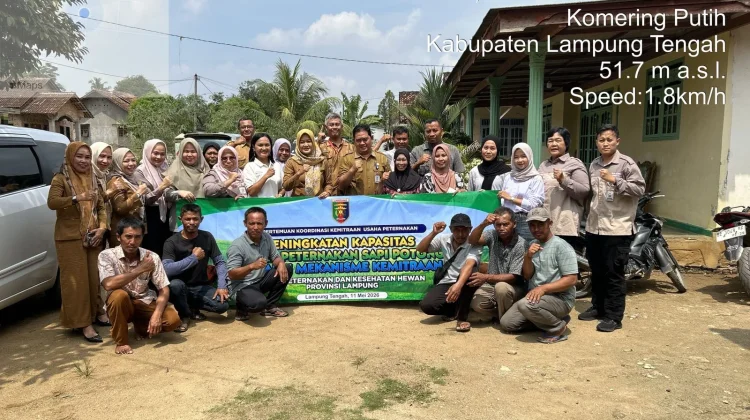 Dinas Peternakan Lampung Fasilitasi Kemitraan Sapi Potong bagi Peternak