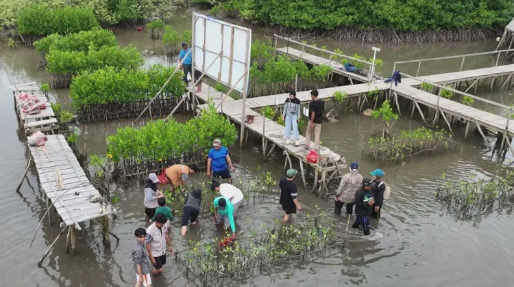 Kampus dan Konsultan Bahas Restorasi Kawasan Pesisir