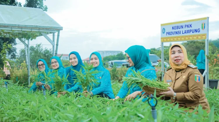 PKK Lampung Targetkan Perluasan Program Desa Tapis di 15 Kabupaten