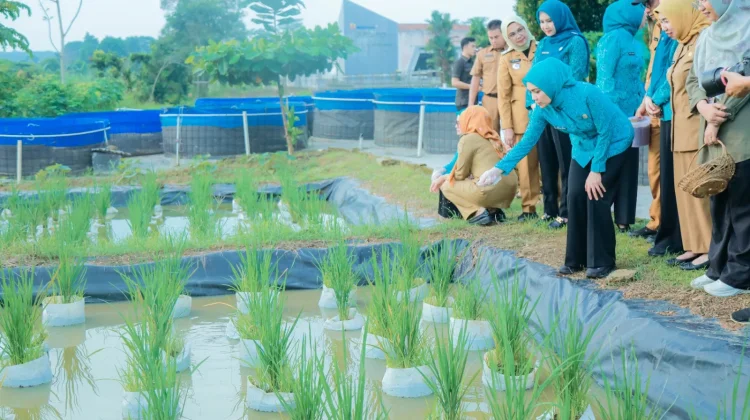 PKK Pusat Tekankan Pentingnya Produktivitas Lansia di Lampung