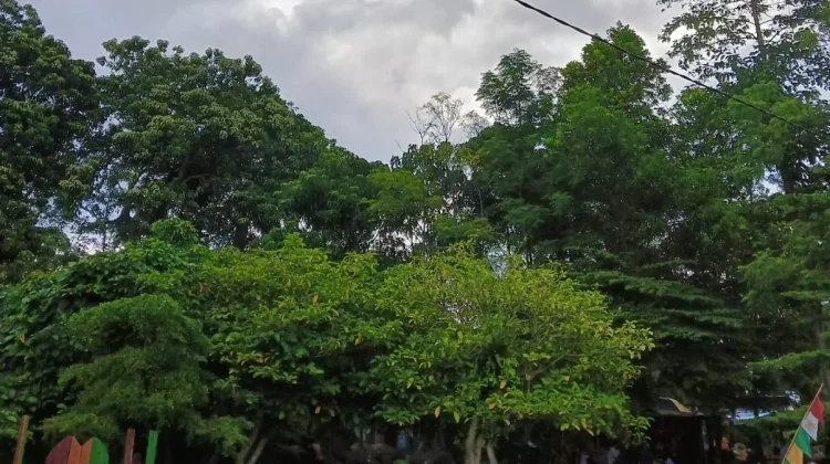 Wisata Pemandian Alami Sumber Agung, Tujuan Melepas Lelah