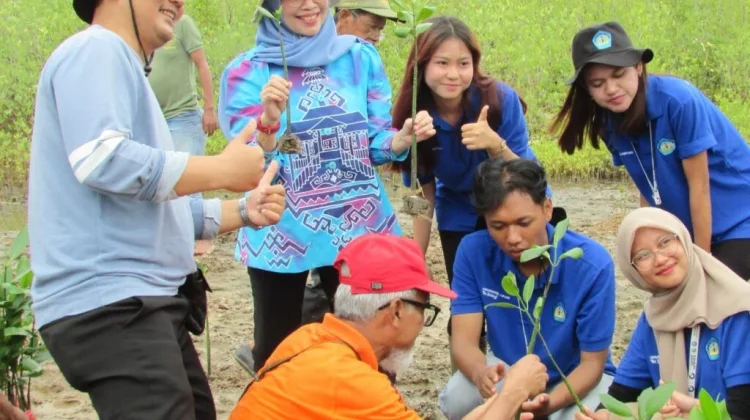 Mahasiswa KKN Unila Tanam Seribu Mangrove