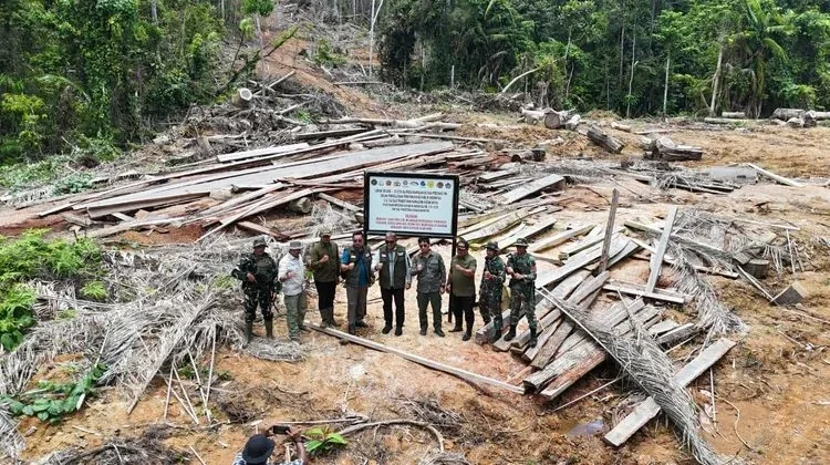 Illegal Logging Jadi Ancaman Serius Kelestarian Hutan Lampung