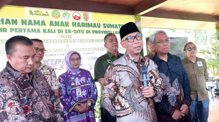 Dua Bayi Harimau Lahir di Lampung