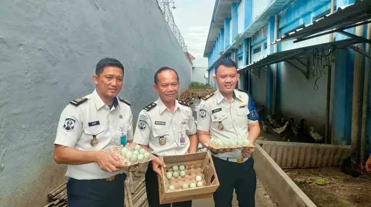Ketahanan Pangan Lapas Narkotika Bandar Lampung Terus Ditingkatkan