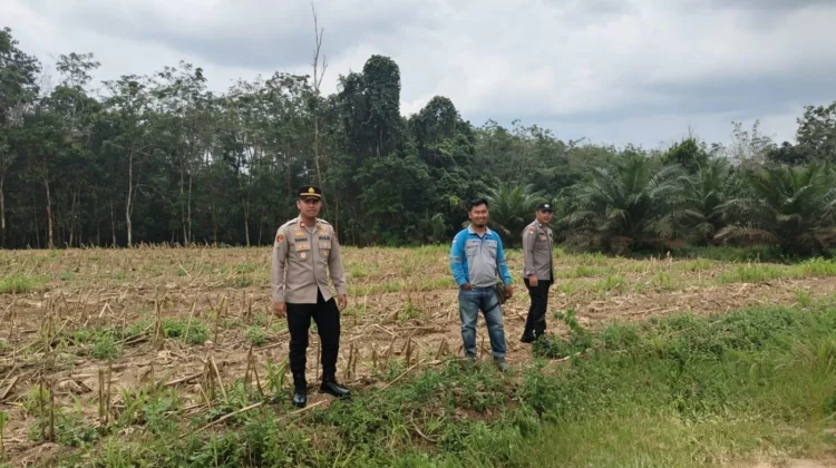 Polisi Dampingi Persiapan Lahan Jagung Gapoktan