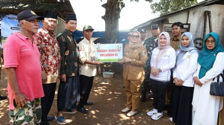 Presiden Salurkan Sapi Kurban 965 Kg untuk Warga Lampung Timur