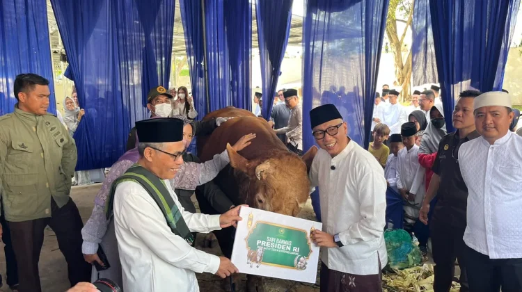 Gubernur Lampung Serahkan Sapi Bantuan Presiden ke Masjid Raya Al-Bakrie