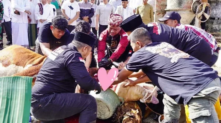 Pemkab Pringsewu Gelar Salat Idul Adha 1447 H dan Potong Sapi Presiden di Pagelaran