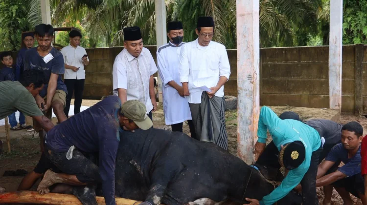 Polres Mesuji Salurkan Daging Kurban untuk Warga