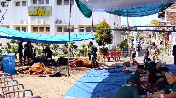 Jumlah dan Bobot Sapi Kurban di Masjid Al-Huda Kemiling Meningkat