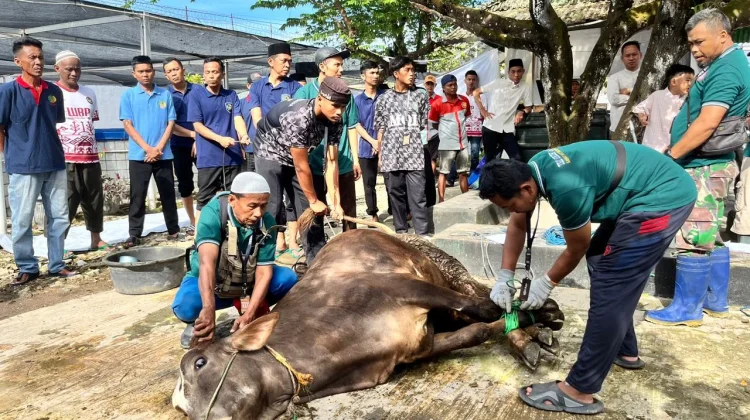 Rutan Bandar Lampung Sembelih 5 Sapi dan 2 Kambing pada Idul Adha