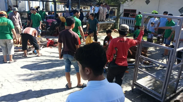 Masjid Al Munawwarah Gisting Sembelih Tujuh Sapi