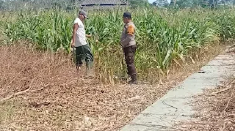 Dukung Ketahanan Pangan Nasional, Polisi Ajak Warga Olah Lahan agar Produktif
