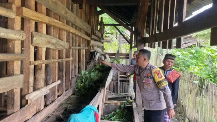 Ketahanan Pangan, Bhabinkamtibmas Polsek Kedondong Sambangi Peternak Kambing