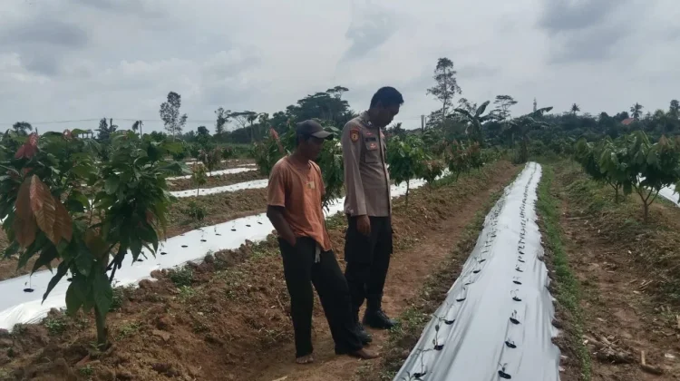 Bhabinkamtibmas Polsek Mesuji Timur Monitoring dan Pendampingan Desa Wonosari