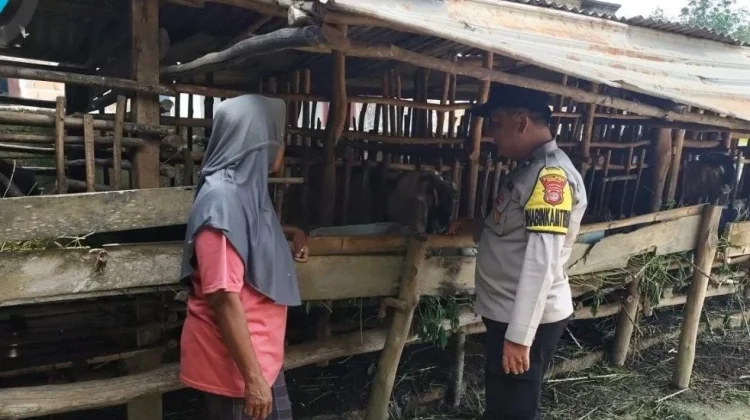 Bhabinkamtibmas Polsek Simpang Pematang Sambangi Peternak Warga