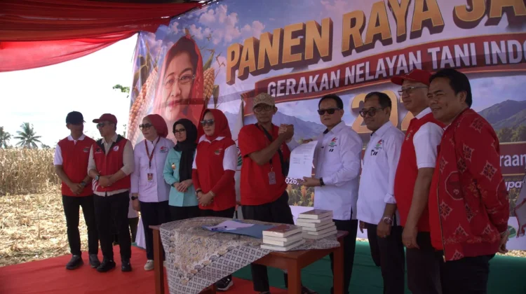 GNTI Gelar Panen Raya Jagung di Pesawaran