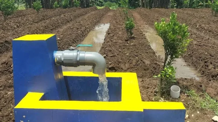 Kementan Alokasikan 95 Unit Irigasi Perpipaan untuk Lampung