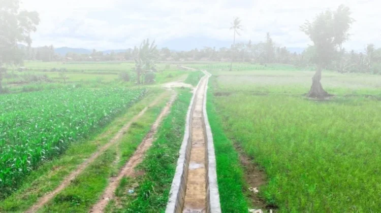 Kementan Alokasikan Rp32 M untuk Pemeliharaan 305 Irigasi Tersier di Lampung
