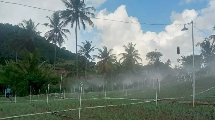 PLN Suplai 700 MW untuk Dukung Hilirisasi Komoditas Lampung