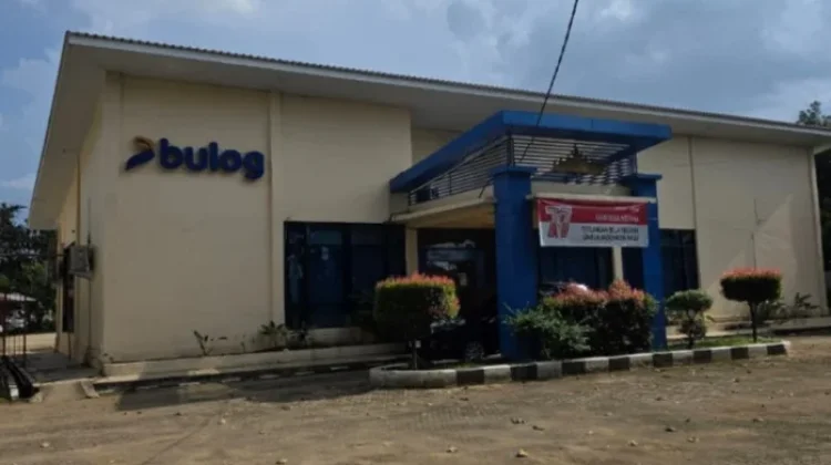 Bulog Lampung Utara Serap 32 Ribu Ton Gabah Petani