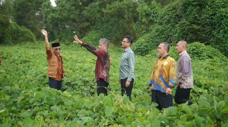 Rektor Terpilih Itera Tinjau Fasilitas Pengembangan Kampus