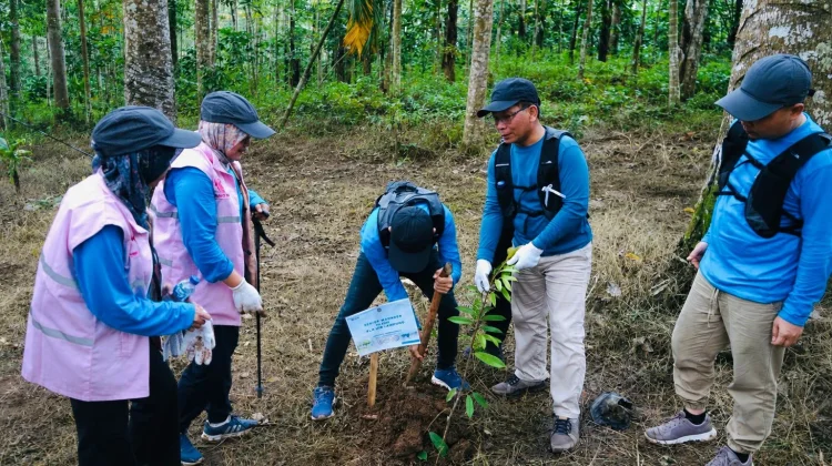 PLN Lampung Gelar Aksi Tanam Pohon Peringati Hari Lingkungan Hidup Sedunia