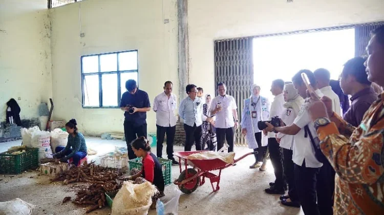 Mocaf Pringsewu Dilirik Kementerian Koperasi, Diusulkan Jadi Penggerak Ekonomi