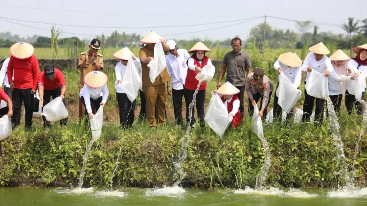 Pemkab Lampung tengah Dorong Kemajuan Pertanian dan Perikanan