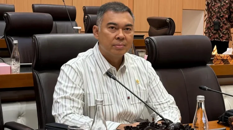 Rycko Menoza Sebut Pembiayaan PPPK Perlu Dukungan APBN