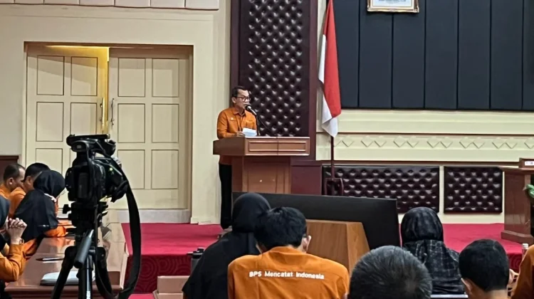 BPS Data Usaha Besar dan Pelaku Bisnis Digital di Lampung