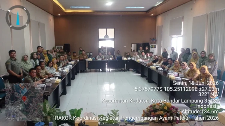 Program Ayam Petelur Didorong untuk Perkuat Ketahanan Pangan & Ekonomi Peternak