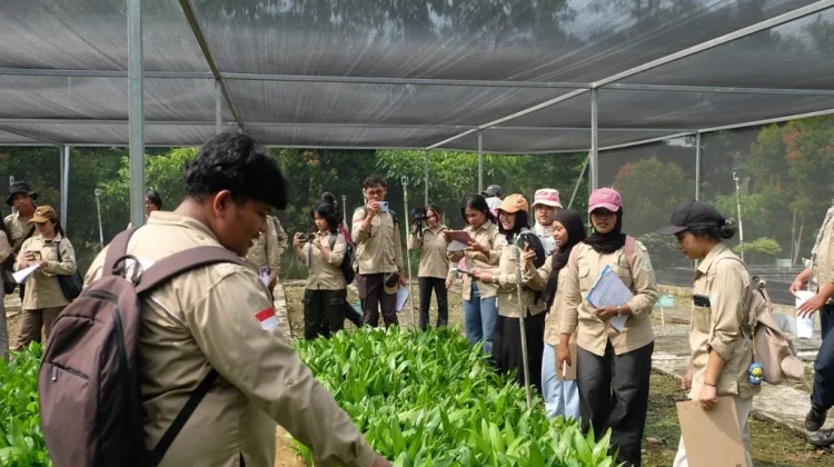 Mahasiswa Pelajari Pembibitan dan Pengelolaan Tanaman Kehutanan