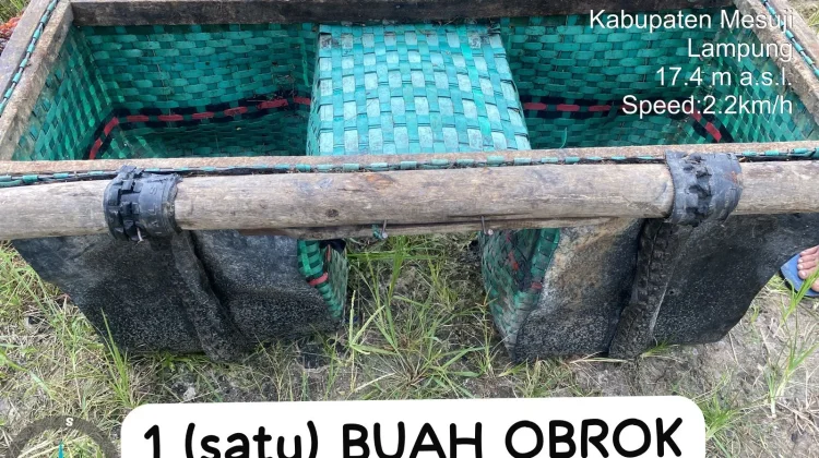 Patroli Perusahaan Gagalkan Aksi Pencurian Sawit Mesuji