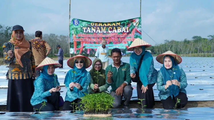Terapkan Smart Farming Cabai, Tubaba Perkuat Ketahanan Pangan