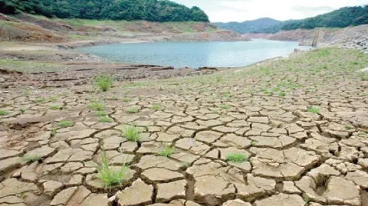 WMO: El Nino Menguat, Risiko Gelombang Panas dan Kekeringan Meningkat