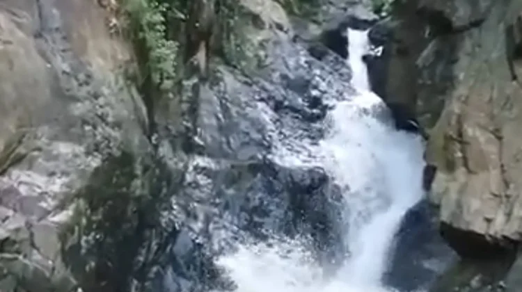Curup Way Kerap, Surga Tersembunyi di Kaki Bukit Barisan