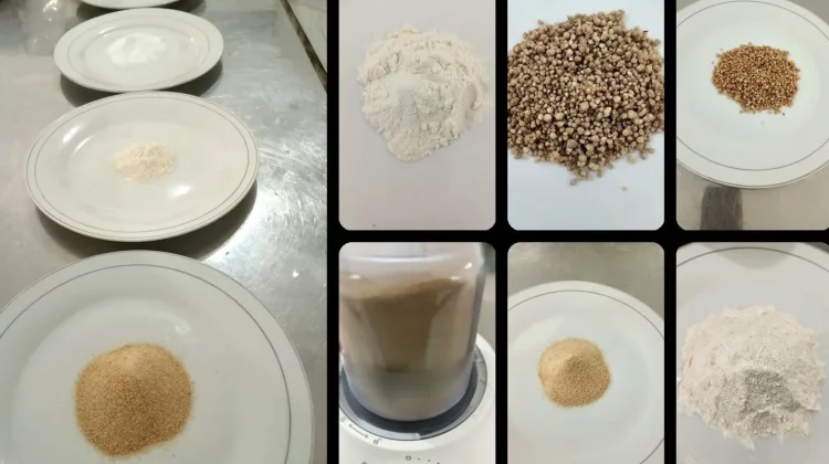 Polinela Kembangkan Minuman Instan Berbasis Tiwul dan Madu