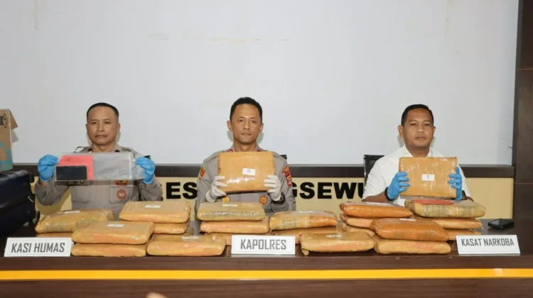 Polres Pringsewu Gagalkan Peredaran 24 Kilogram Ganja